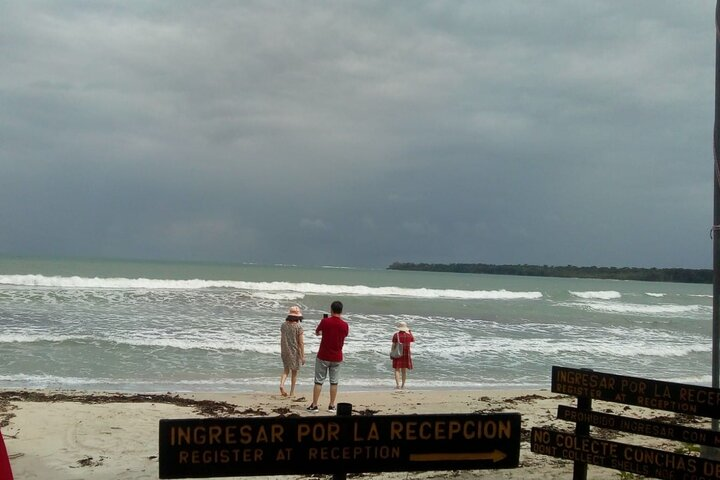Half-Day Wildlife Hiking Tour of Cahuita National Park - Photo 1 of 15